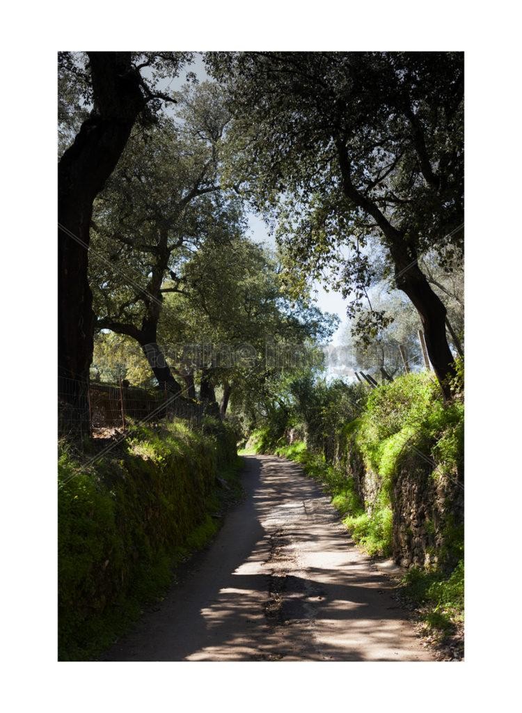 Sendero