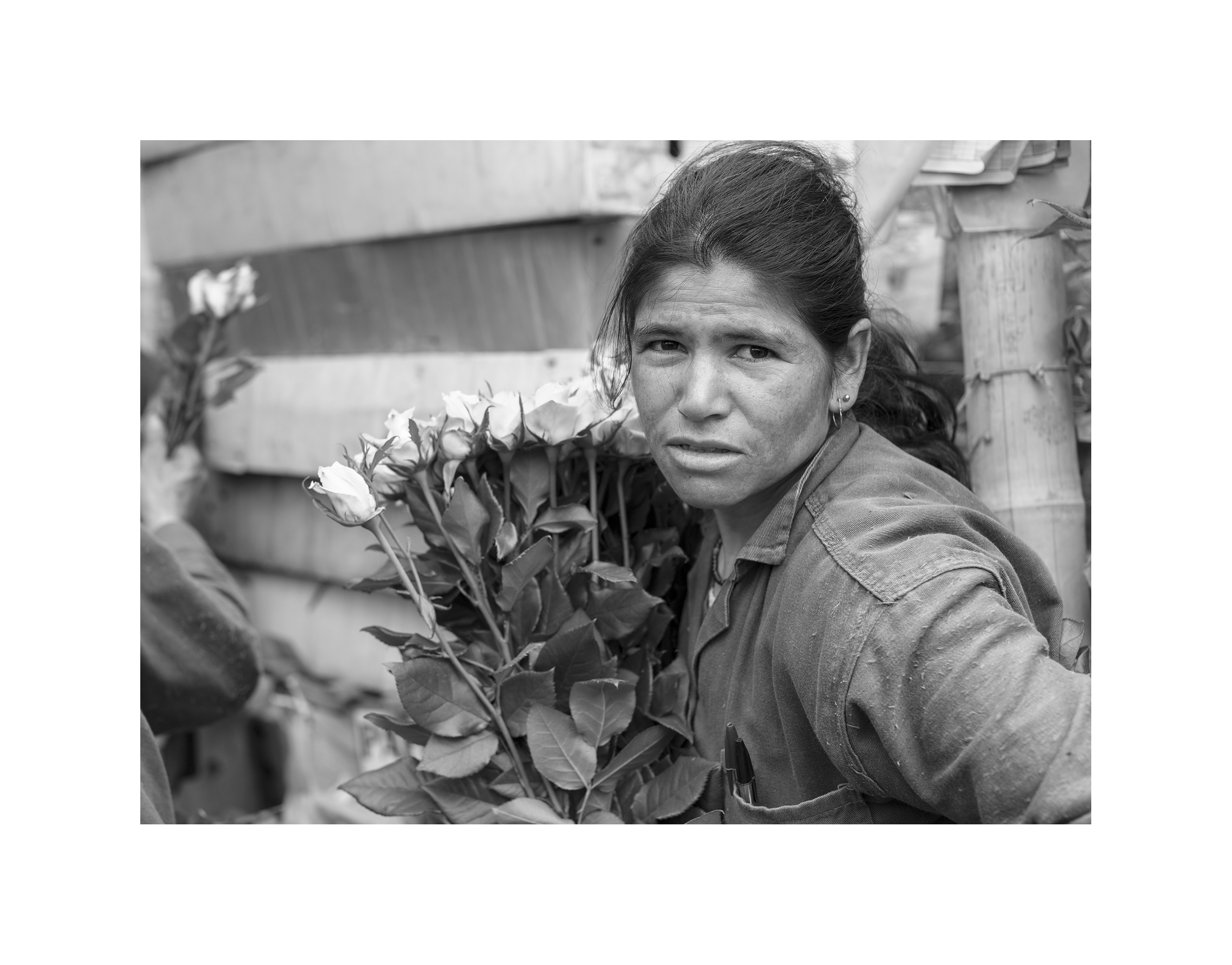 Florista
