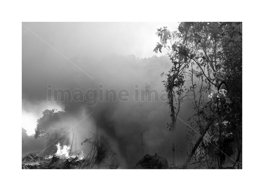 Amazonia